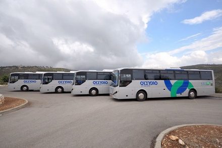 אלימות כלפי משרתי הציבור על הכבישים זוכה להתעלמות כללית, גם מארגוני עובדים אחרים. אוטובוסים של סופרבוס (צילום: יוסי מלכי, ויקימדיה CC BY-SA 4.0)
