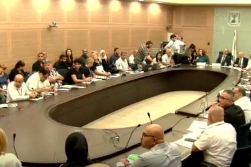 שתי דקות לדובר, בשפה שאיננה שפת אמו. דיון בוועדת החינוך של הכנסת על החינוך במגזר הערבי (צילום מסך מתוך אתר הכנסת)