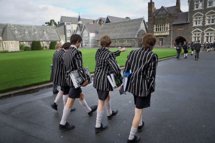 תלמידים בבית ספר בניו זילנד. תוכנית "בתי הספר של המחר" לא הובילה לשום מקום. (צילום: Jorge Royan, ויקימדיה, CC BY-SA 3.0)