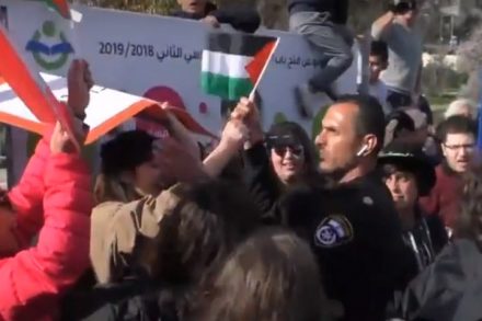 שוטר חוטף דגל ממפגין במהלך הפגנה בשייח ג'ראח בירושלים המזרחית, נגד פינוי משפחות מבתיהן. 8 בפברואר 2019. (צילום מסך מתוך יוטיוב)