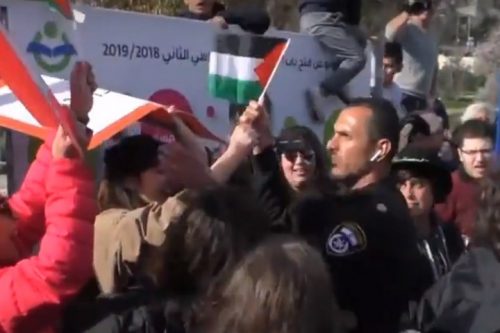 שוטר חוטף דגל ממפגין במהלך הפגנה בשייח ג'ראח בירושלים המזרחית, נגד פינוי משפחות מבתיהן. 8 בפברואר 2019. (צילום מסך מתוך יוטיוב) שוטר חוטף דגל ממפגין במהלך הפגנה בשייח ג'ראח בירושלים המזרחית, נגד פינוי משפחות מבתיהן. 8 בפברואר 2019. (צילום מסך מתוך יוטיוב)