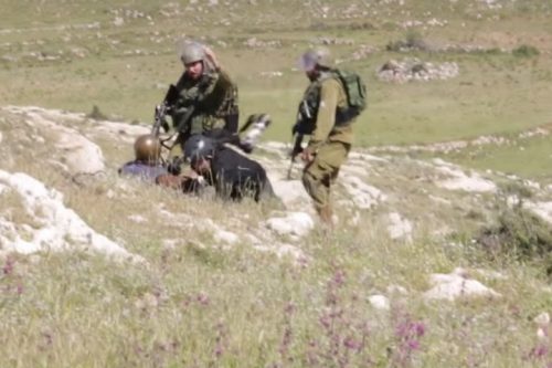 דובר צה"ל טען בהתחלה שהחיילים הפעילו "כוח סביר". אירוע התקיפה בנבי סלאח באפריל 2015 (מתוך וידיאו, צילום מיקי קרצמן)