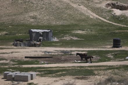 המדינה מתכננת לרכז את ארבעת היישובים הבדואים בהר הנגב ליישוב אחד. שלושת הכפרים האחרים יהפכו ל"כפרי אירוח". ישוב בדואי בנגב (צילום: הדס פרוש / פלאש 90)