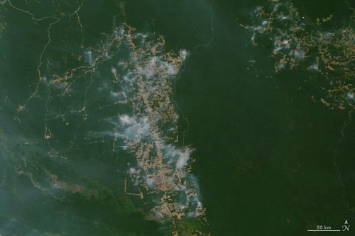 שריפות באמזונס (תמונת לוויין של נאס"א)
