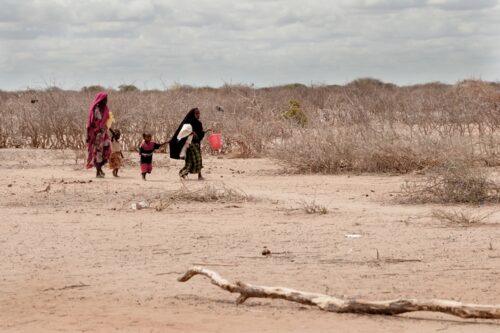בצורת חריפה במזרח אפריקה מאיימת על חייהם של ילדים רבים באזור (צילום: Colin Crowley/Save the Children)