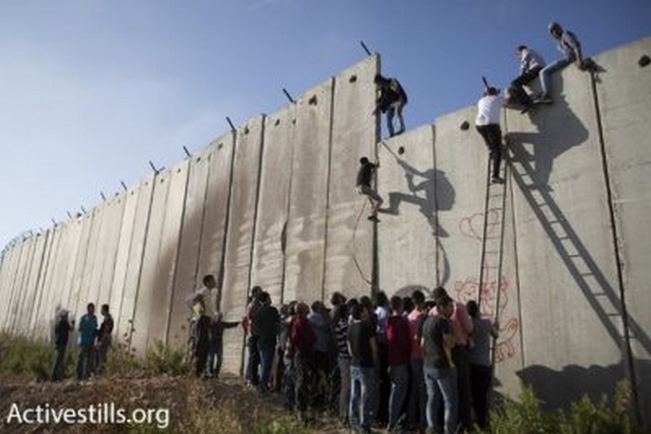 החומה היא עניין מציק ומטריד יותר מאשר מכשול בלתי עביר. פלסטינים מטפסים על חומת ההפרדה בא-ראם לתוך ירושלים (צילום: אורן זיו / אקטיבסטילס)