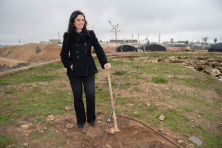 יזמה את החוק כדי "להגביר את המשילות". השרה איילת שקד (צילום: סראיה דיאמנט / פלאש 90)