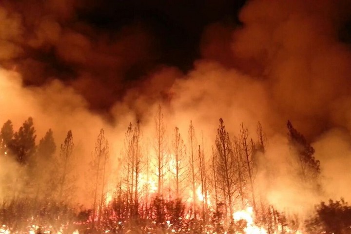 שריפת יער בקליפורניה (צילום: משרד החקלאות האמריקאי)