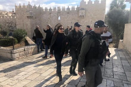 "שאלו אותי למה אני אומרת שהמשטרה 'פלשה' לאלאקצא ולא 'ביקרה' באלאקצא. כריסטין רינאווי במעצרה הקודם בשער שכם (צילום: עלי יאסין)