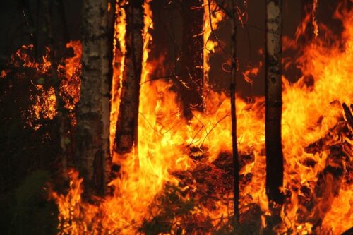 השטח שנשרף בסיביר מקביל לשטחה מדינת ישראל. שריפת יער בסיביר (צילום: טטאינה בוליונקובה CC BY-SA 2.0)