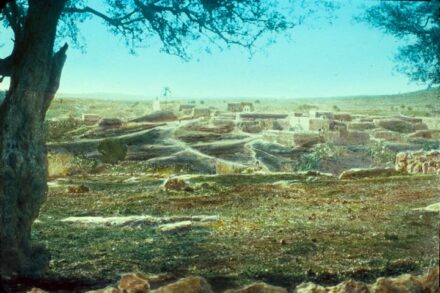 רצף היסטורי של 700 שנה לפחות. הכפר זכריא בתחילת המאה העשרים