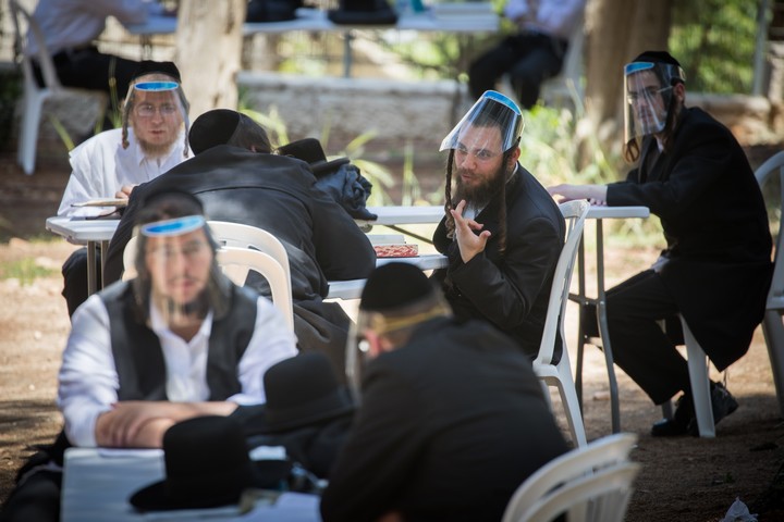 חרדים לומדים גמרא ביער בירושלים, בגלל הקורונה. למצולמים אין קשר לכתבה (צילום: יונתן זינדל / פלאש90)