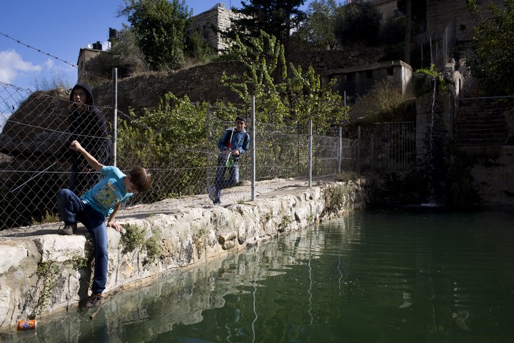 בריכת מים בבתיר. הפלסטינים מספרים שהמתנחלים מתרחצים בעירום בבור המים שלהם (צילום: אורן זיו / אקטיבסטילס)