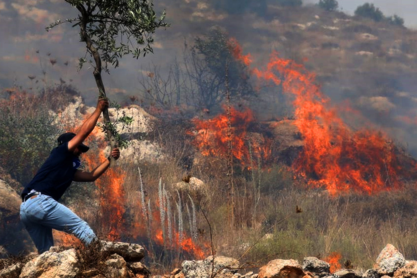 שריפה שנגרמה בעקבות ירי גז מדמיע של הצבא ליד בית דג'ן (צילום: אורן זיו)