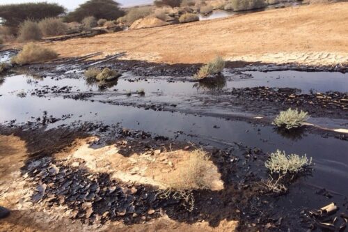 דליפת נפט באזור הערבה, בדצמבר 2014 (צילום: רשות הטבע והגנים)