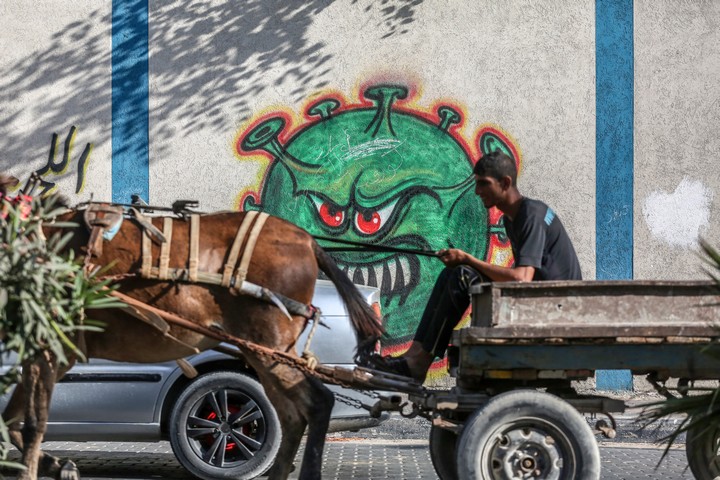 עזה בקורונה (צילום: מוחמד זאנון, אקטיבסטילס)