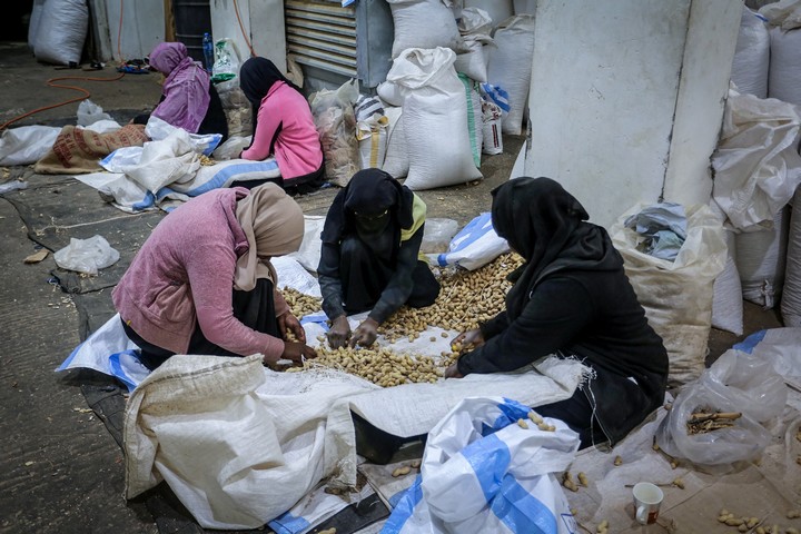נשים פלסטיניות עובדות במפעל פיסטוקים ברפיח שבדרום רצועת עזה, ב-7 במרץ 2020 (צילום: עבד רחים חטיב / פלאש90)