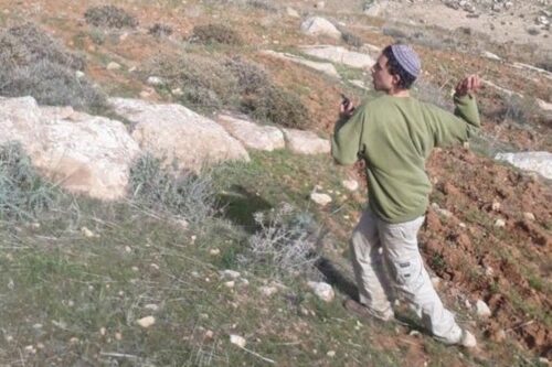 המתנחלים השליכו אבנים על הפלסטינים. מתנחל בעת אירוע התקיפה במסאפר בני נעים (צילום: עלי חמדאן)