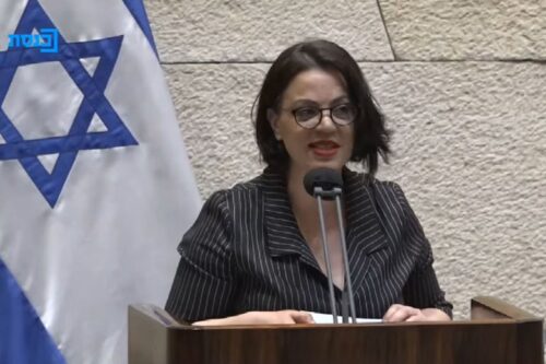 ח"כ גלית דיסטל אטבריאן בנאום הבכורה שלה בכנסת, ב-21 באפריל 2021 (צילום מסך מתוך ערוץ הכנסת)