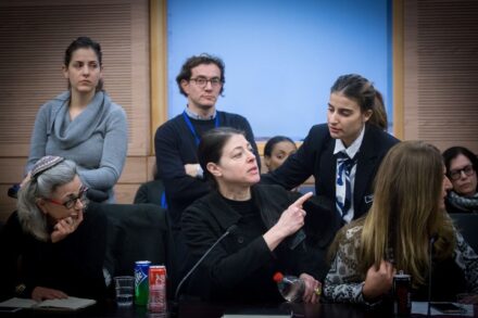 זו לא השפלה להיות "רק" חבר כנסת. מרב מיכאלי בדיון בוועדת הפנים, 29 בינואר 2018 (מרים אלסטר / פלאש 90)