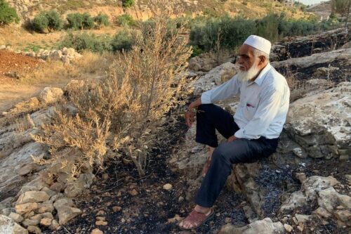 המתנחלים שרפו שדות ועצים בכפר א-ריחיה. כאזם אל חאלק, תושב הכפר, בחלקה שלו (צילום: באסל אל עדרה)