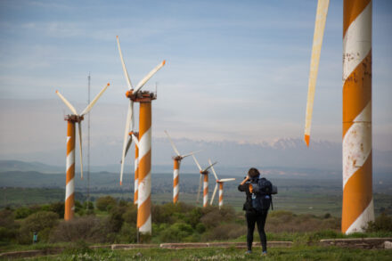 תפוקת האנרגיה ממקורות מתחדשים עלתה ב-50% לעומת 2019. טורבינות רוח ברמת הגולן (צילום: הגס פרוש / פלאש 90)