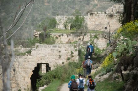 הישרדות בתי הכפר היא סימן של "צומוד". מטיילים בשרידי הכפר ליפתא ב-2014 (צילום: אקטיבסטילס)