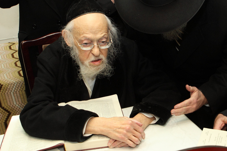 הרב יוסף שלום אלישיב. נתן את ברכתו לספריו של ולדר (צילום: יעקב נאומי / פלאש 90)