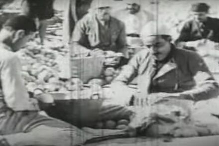 צילום מסך מתוך הטריילר של "סרט שלל"