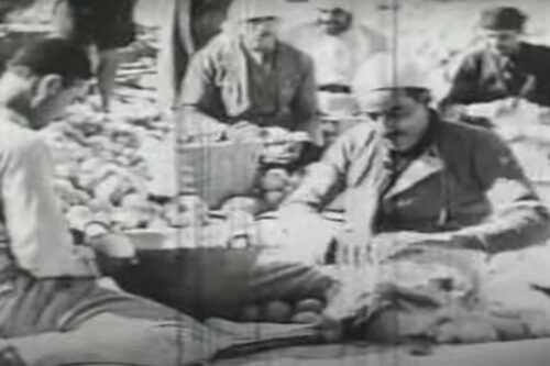 צילום מסך מתוך הטריילר של "סרט שלל"