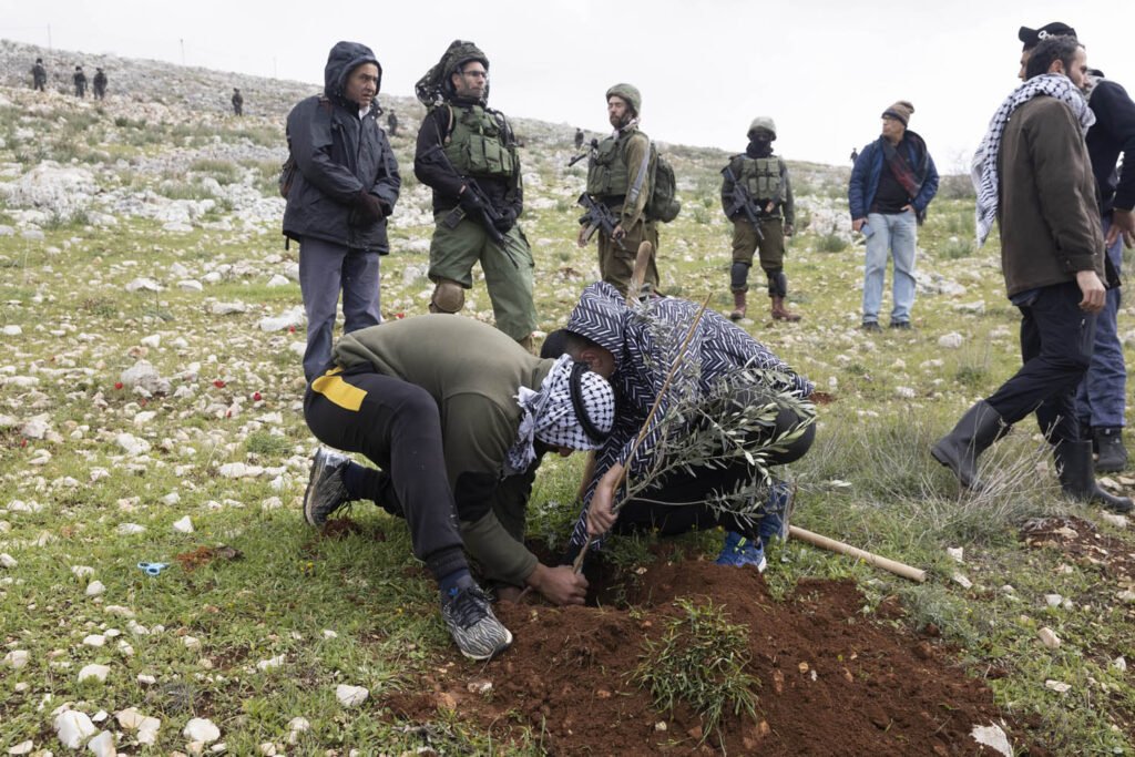פעילים ישראלים וחקלאים פלסטינים נוטעים עצי זית בבורין, 4 בפברואר 2022 (צילום: אורן זיו)