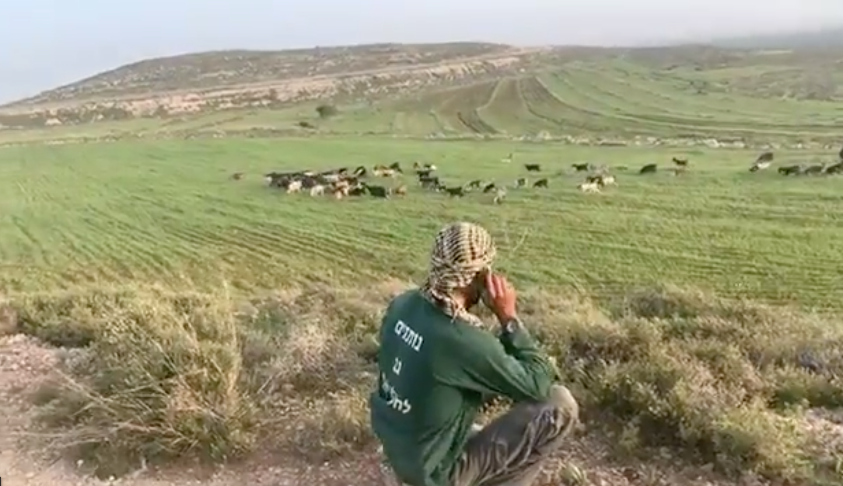 מתנחל לבוש בחולצת השומר יו"ש במאחז "מעלה אהוביה" בזמן שמתנחלים רעו כבשים באדמות של הכפר דיר ג'ריר (צילום: עבדאללה אבו רחמה)