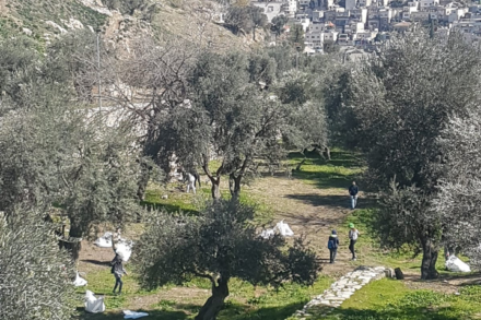 מתנדבים בגיא בן הינום (צילום: רז הנדלר)