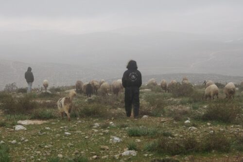 מתנחל לבוש במעיל של השומר יו״ש רועה כבשים ליד המאחז מצפה יאיר, פברואר 2022 (צילום: גיא בוטביה)