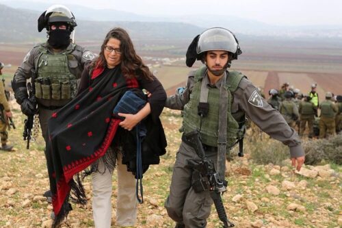 לנצל את זכויות היתר כדי לפרק את משטר האפרטהייד. נטע גולם נעצרת בהפגנה בגדה המערבית (צילום: אורן זיו) לנצל את זכויות היתר כדי לפרק את משטר האפרטהייד. נטע גולם נעצרת בהפגנה בגדה המערבית (צילום: אורן זיו)