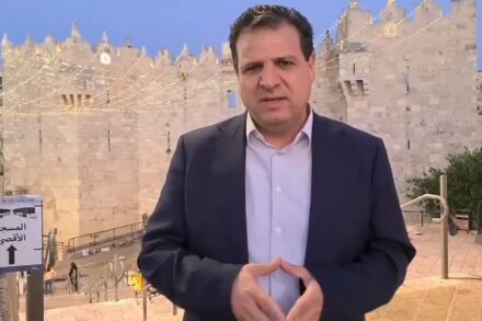 כל מי שהשתתף בהפגנה בשייח' ג'ראח או בשכונה אחרת במזרח העיר יכול להעיד על האלימות שמפעילים שם השוטרים הערבים נגד התושבים והמפגינים, לצד עמיתיהם היהודים. ח"כ איימן עודה בשער שכם (צילום מסך)