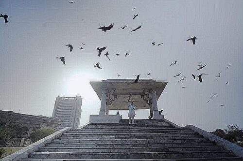 הטיפול בציפורי טרף הוא עניין פוליטי בהודו. מתוך הסרט "כל מה שנושם" Rise Films ו-Kiterabbit Films הטיפול בציפורי טרף הוא עניין פוליטי בהודו. מתוך הסרט "כל מה שנושם" Rise Films ו-Kiterabbit Films