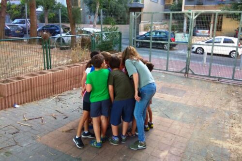 כדי להתאים את ההוראה למספר רב של תלמידים, ארגון ההוראה חייב להיות מגוון וגמיש. תלמידים בבית הספר בן גוריון בגבעתיים (צילום: גיל גרטל)