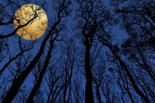 שיר מפרסית: אודות הירח