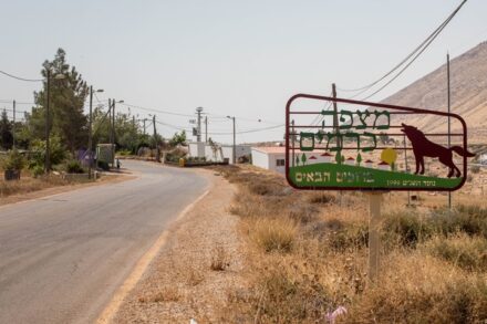 המאחז מצפה כרמים (צילום: יונתן זינדל / פלאש90)
