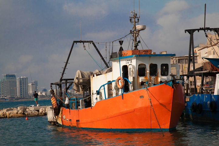 סירת דיג בנמל יפו (צילום: ענת חרמוני / פלאש90)