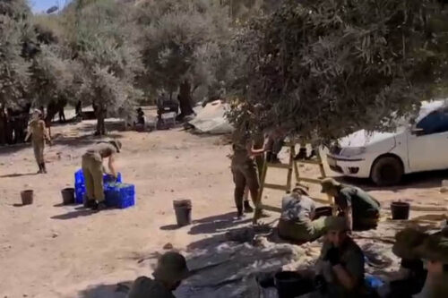 חיילות מוסקות בואדי רבאבה (צילום: עמק השווה)