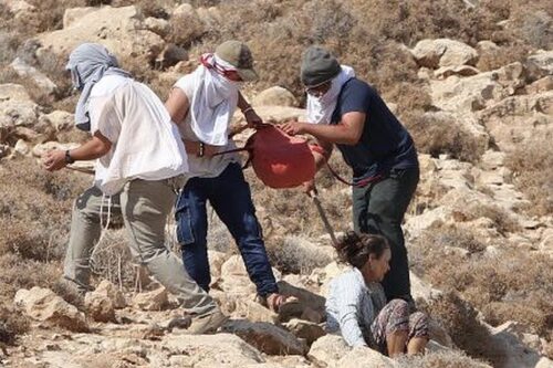 החוקרים לא שאלו את הפעילות על התקיפה של הגר גפן. מתנחלים תוקפים את גפן במהלך מסיק בכפר כיסאן