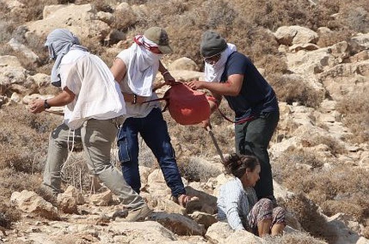 החוקרים לא שאלו את הפעילות על התקיפה של הגר גפן. מתנחלים תוקפים את גפן במהלך מסיק בכפר כיסאן