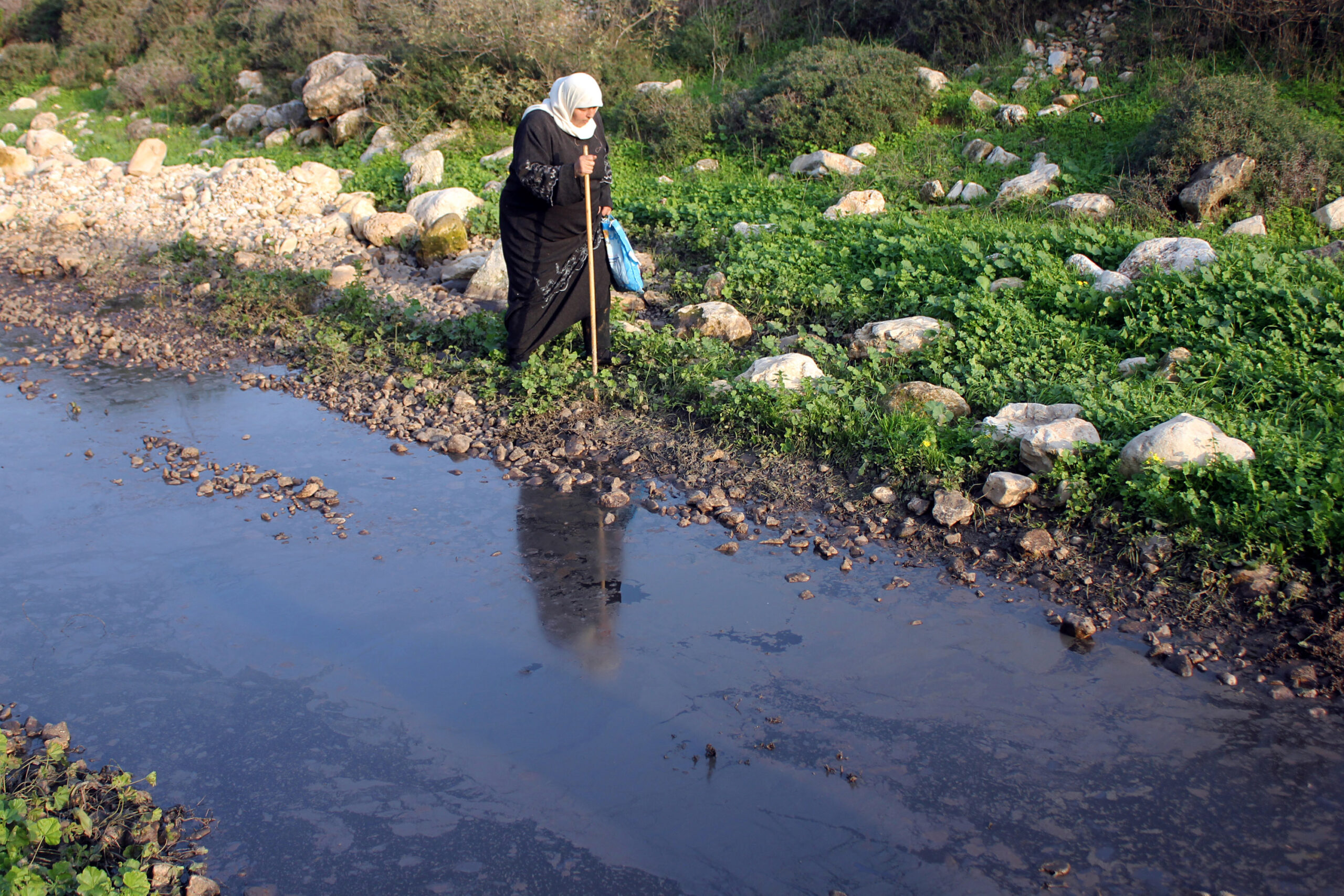 נחלים הפכו לצינורות ביוב. פלסטינית ליד ביוב הזורם בנחל ליד קלקיליה (צילום: אחמד אל-בז / אקטיבסטילס)