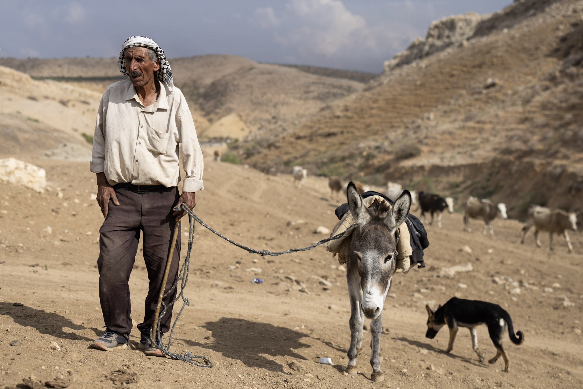 פתחי דררמה, מקהילת הרועים עין אל חילווה (צילום: אורן זיו)