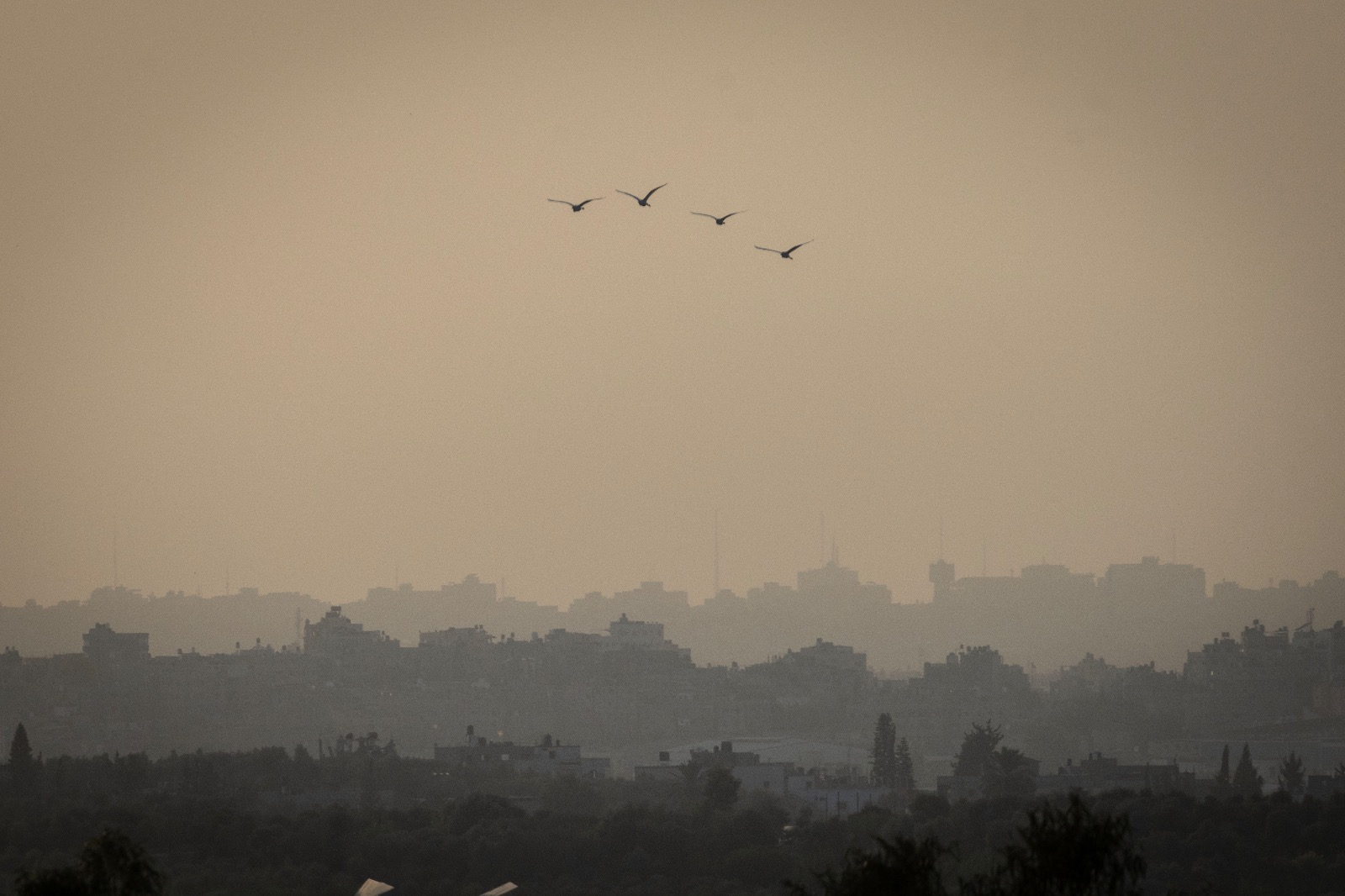 מבט אל רצועת עזה משדרות, 30 באוקטובר 2023 (צילום: אורן זיו)