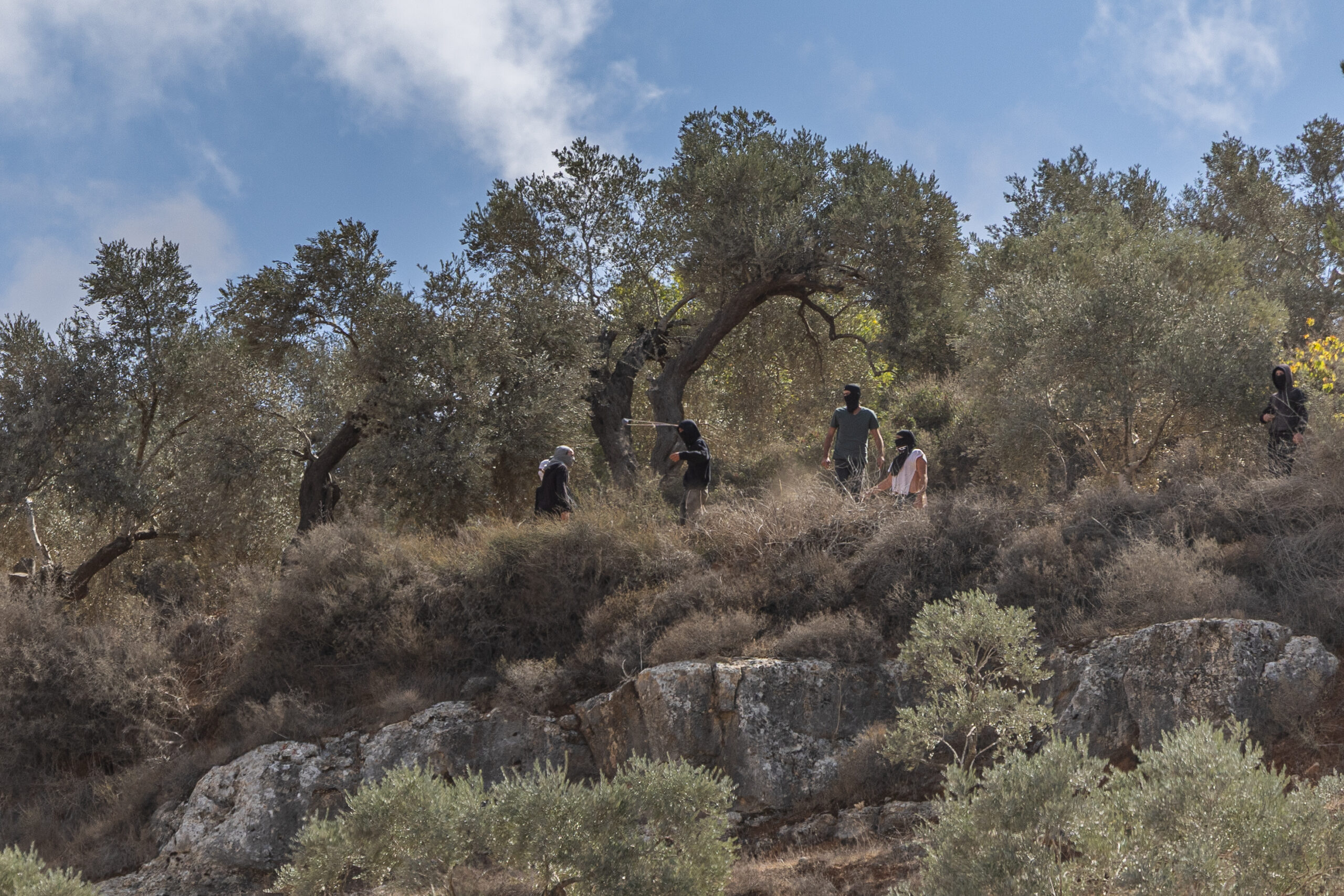 מתנחלים מיידים אבנים לעבר משתתפים במסיק בכפר ביתא, ב-10 באוקטובר 2025 (צילום: אבישי מוהר / אקטיבסטילס)