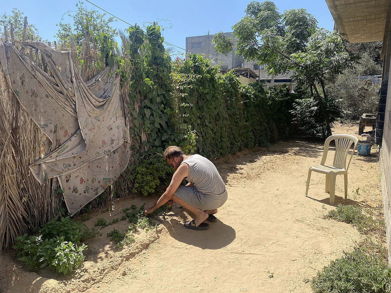 ואסים בגינה שלו לפני המלחמה (צילום: באדיבות המצולם)