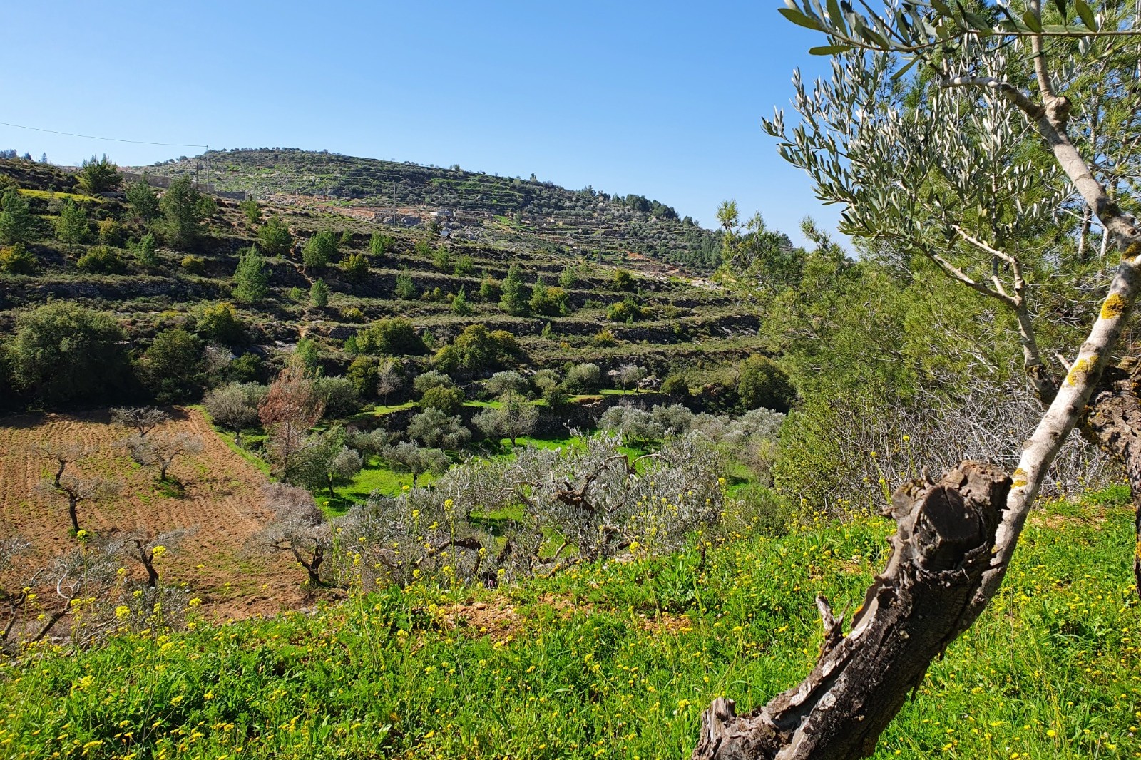 היופי של המקום הוא יצירה משותפת של הטבע ושל קהילה שחיה מאות שנים במרחב הזה. מראה ליד ולאג'ה (צילום: דהרמה מעורבות חברתית)